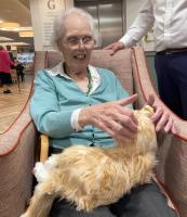 Therapy Cats can help support people affected by Dementia